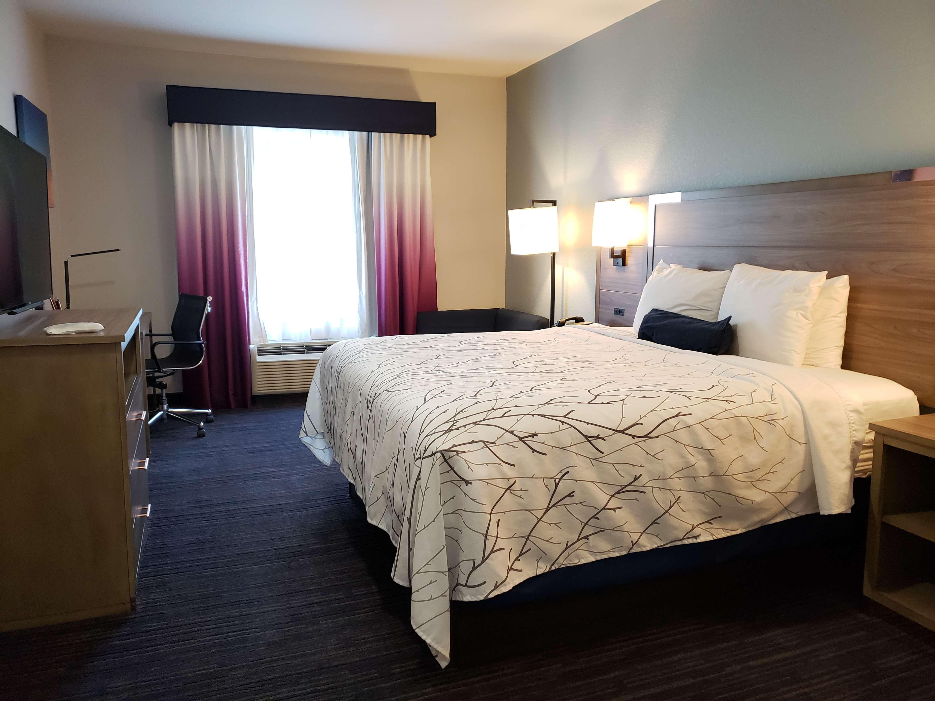 Best Western Plus San Antonio East Inn & Suites Kültér fotó